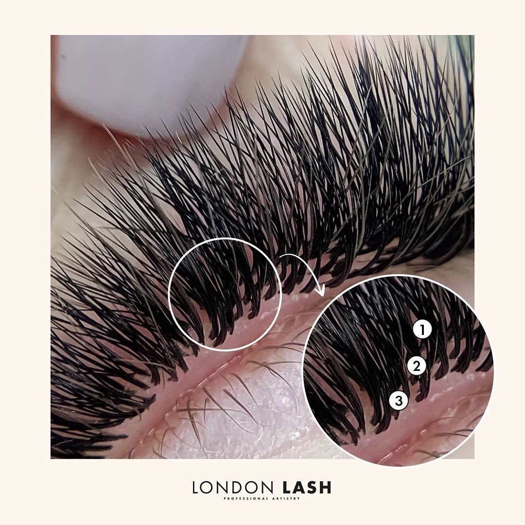 Lashes.alise, Qerpikë dhe vetulla, Kumanovë