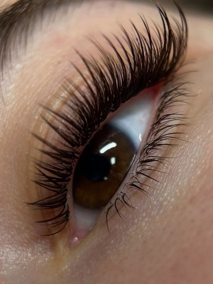 Lashes.alise, Qerpikë dhe vetulla, Kumanovë