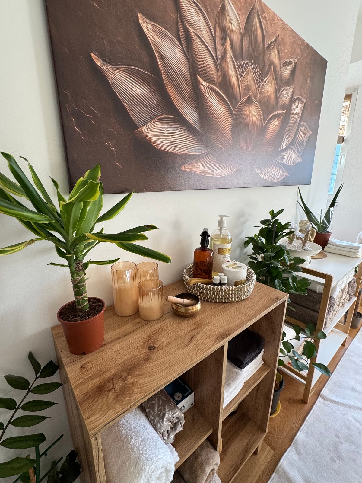 "Oasis" Salon za Masaza, Спа и масажа, Скопје